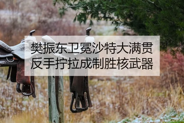 fan-zhen-dong-wei-mian-sha-te-da-man-guan-fan-shou-ning-la-cheng-zhi-sheng-he-wu-qi-2-170.jpg