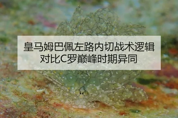 皇马姆巴佩左路内切战术逻辑 对比C罗巅峰时期异同